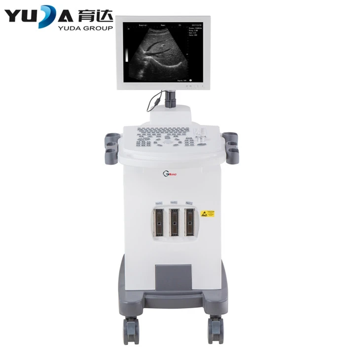 Ultrasound Scanner Machine 3D4D